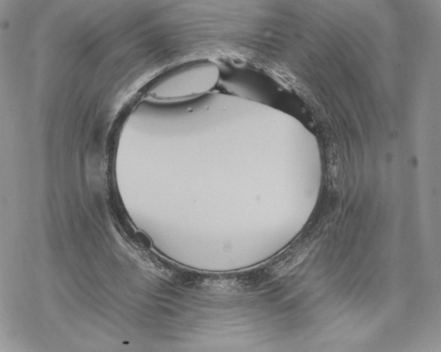 X0000077330440200611171811