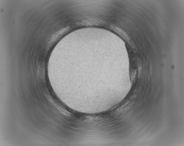 X0000077330442200611171811