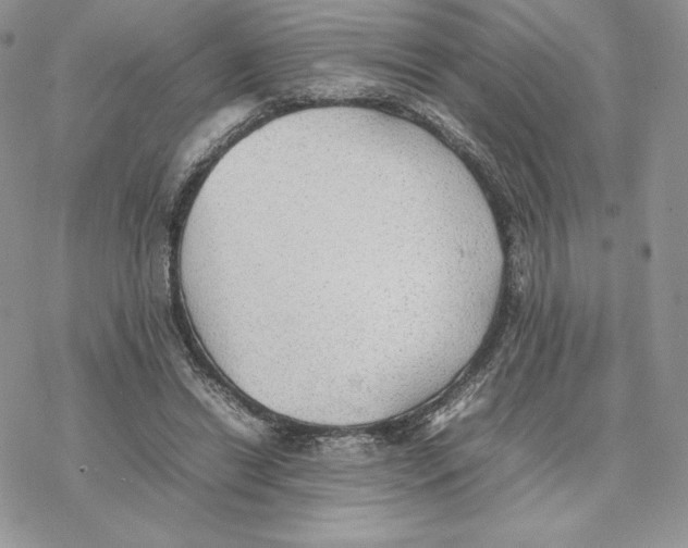 X0000077330446200611171811