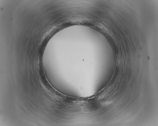 X0000077330448200611171811