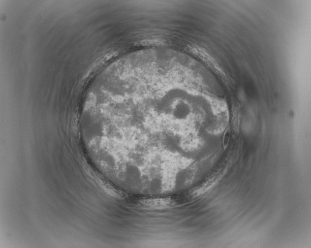 X0000077330449200611171811