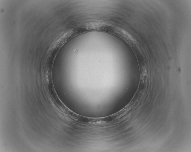 X0000077330452200611171811