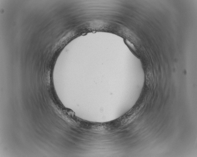 X0000077330454200611171811