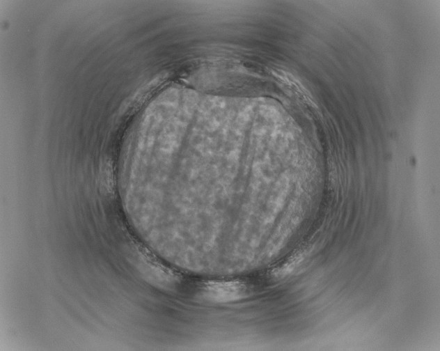 X0000077330457200611171812