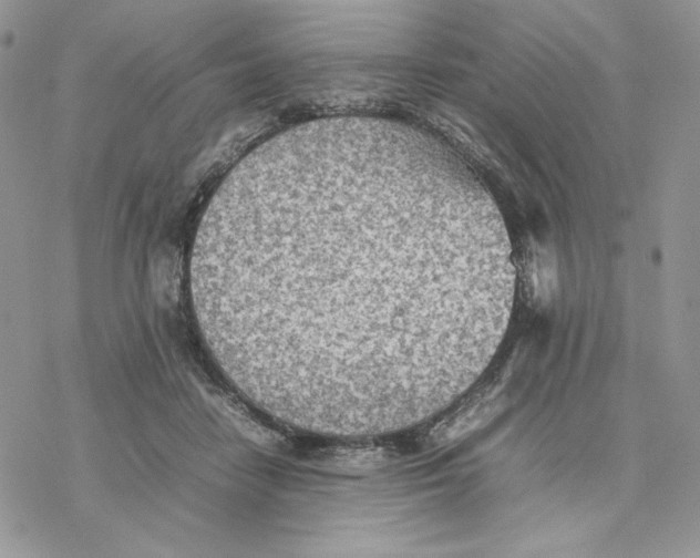 X0000077330458200611171812