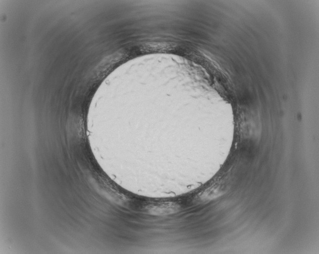 X0000077330459200611171812