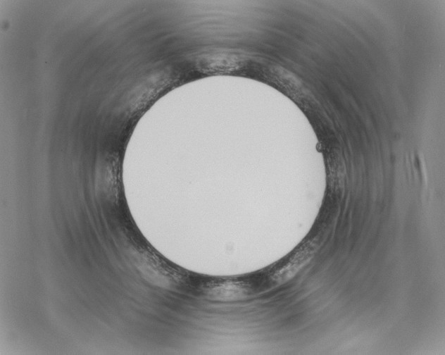 X0000077330460200611171812