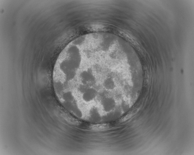 X0000077330461200611171812