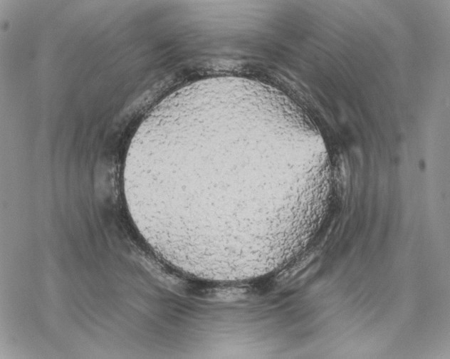 X0000077330462200611171812