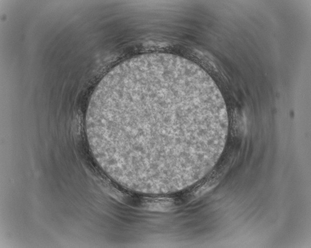 X0000077330463200611171812