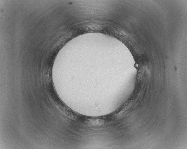 X0000077330464200611171812