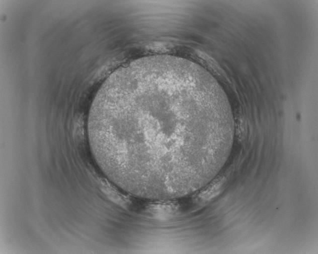 X0000077330466200611171812