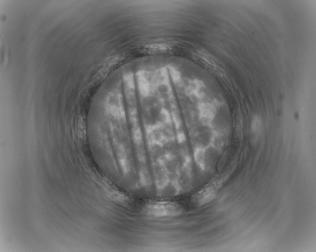 X0000077330467200611171812