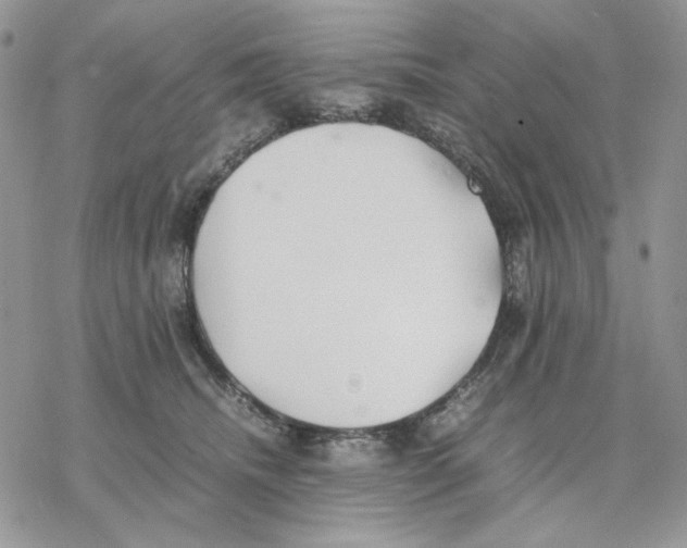 X0000077330468200611171812