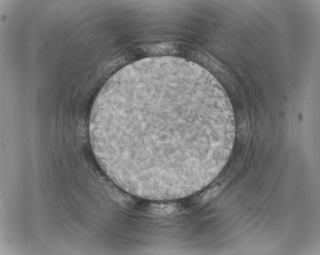 X0000077330469200611171812