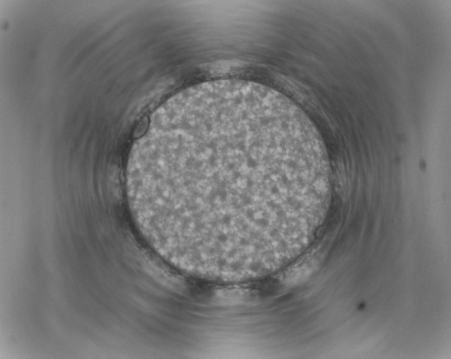 X0000077330470200611171812