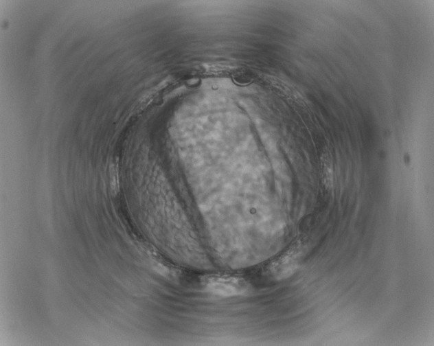 X0000077330471200611171812