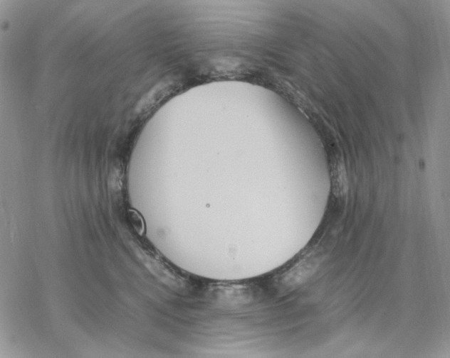 X0000077330472200611171812