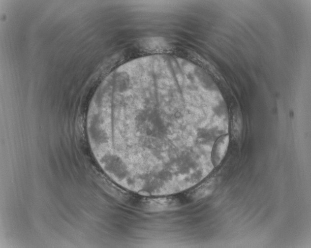 X0000077330473200611171812