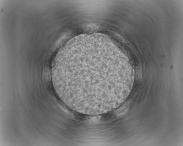 X0000077330474200611171812