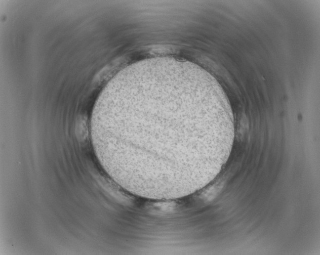 X0000077330478200611171812