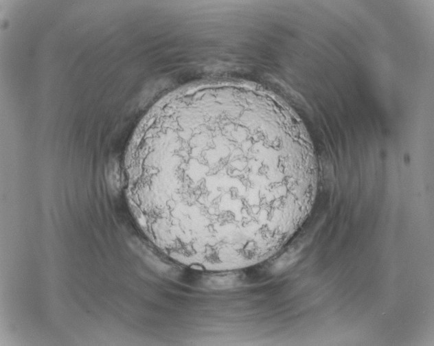 X0000077330479200611171812