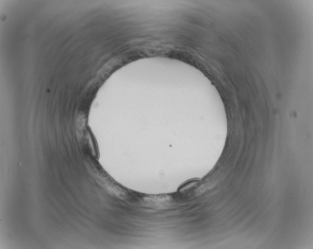 X0000077330480200611171812