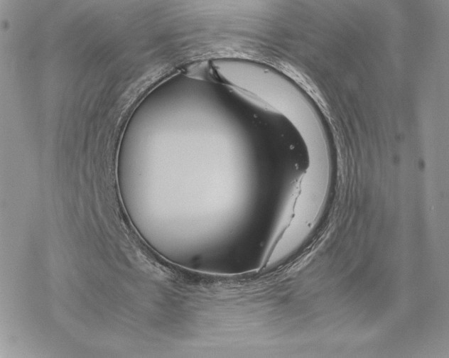 X0000077330481200611171811