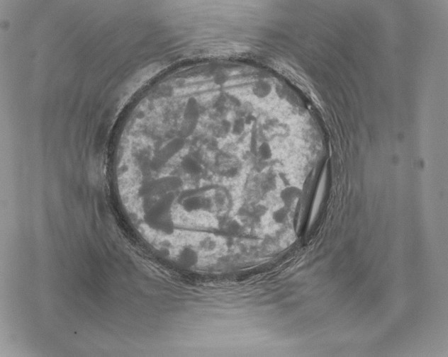 X0000077330483200611171811