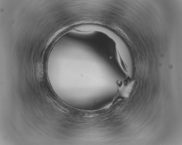 X0000077330484200611171811