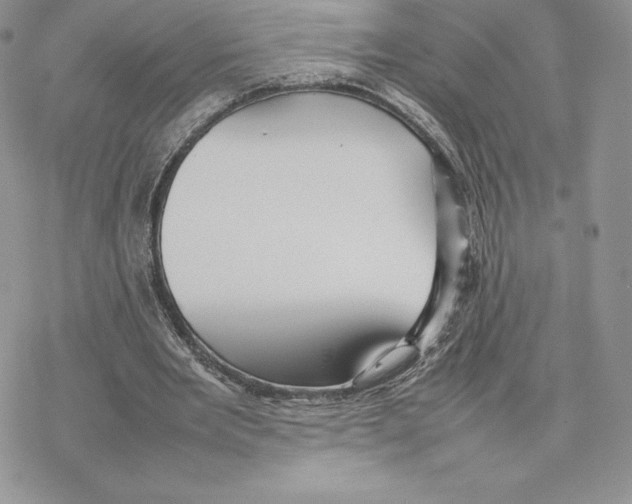 X0000077330485200611171811