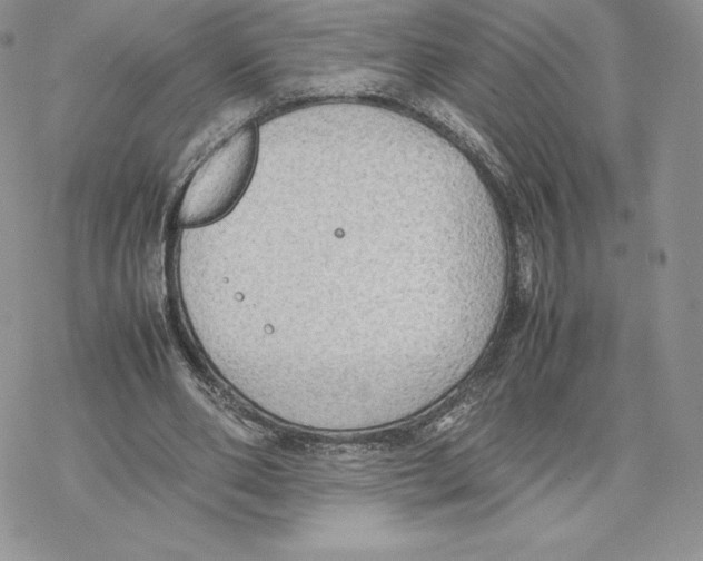 X0000077330486200611171811