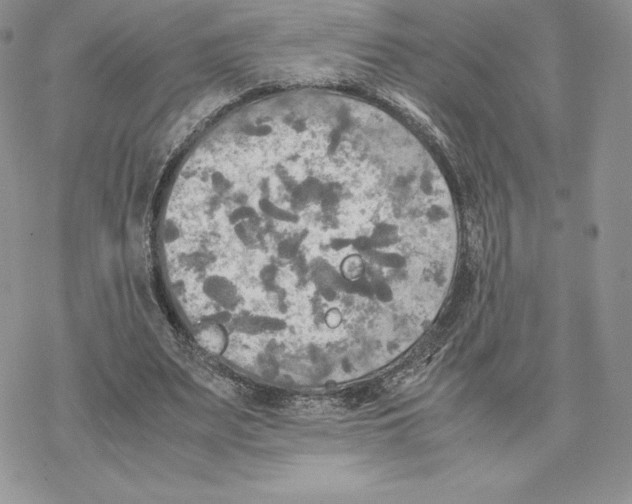 X0000077330487200611171811