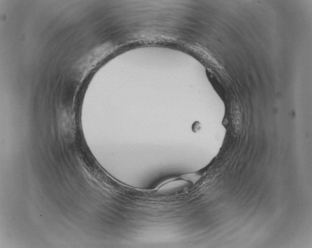 X0000077330488200611171811