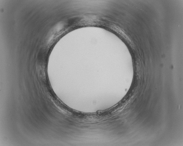 X0000077330489200611171811