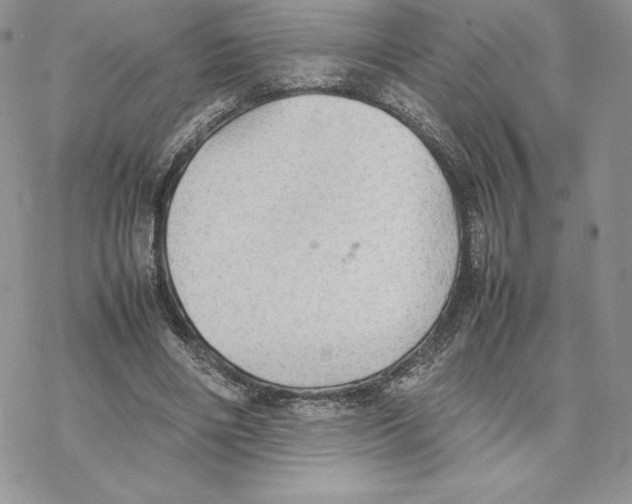 X0000077330490200611171811