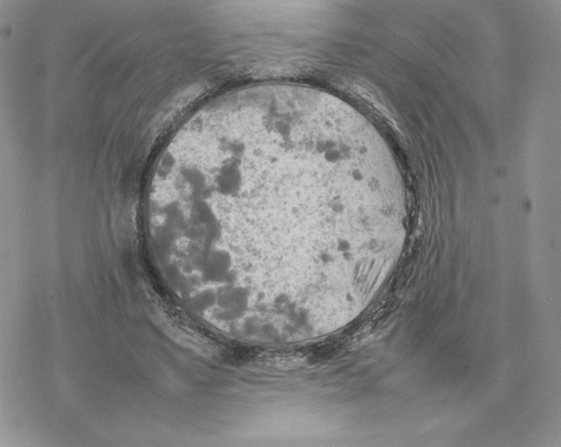 X0000077330491200611171811