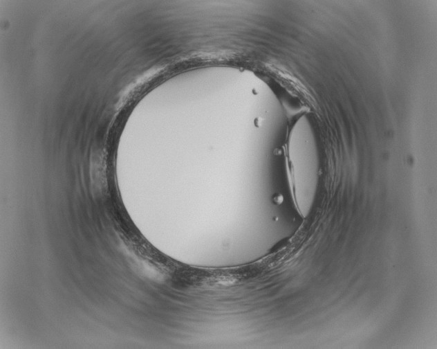 X0000077330492200611171811