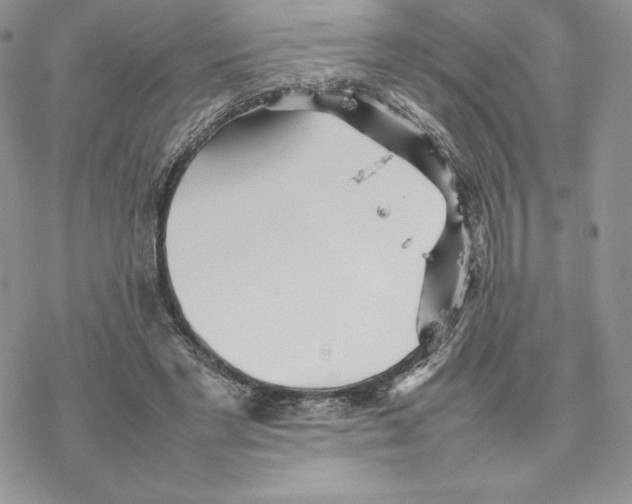 X0000077330493200611171811