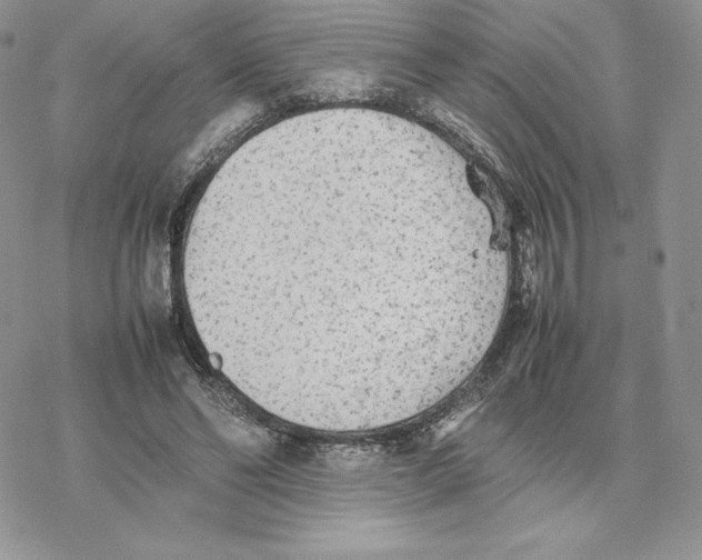 X0000077330494200611171811