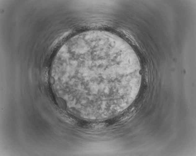 X0000077330495200611171811