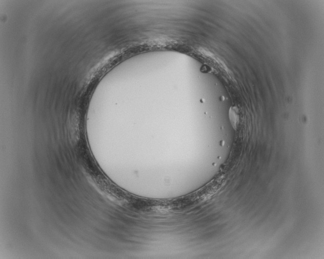 X0000077330496200611171811