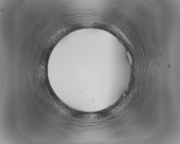 X0000077330497200611171811