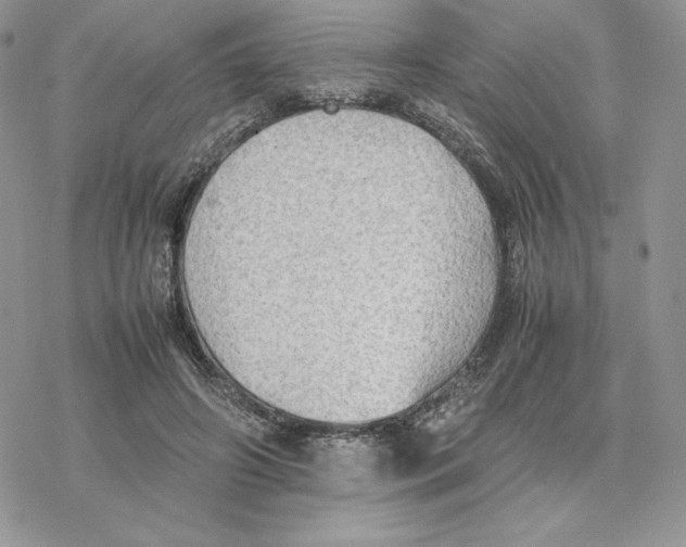 X0000077330498200611171811