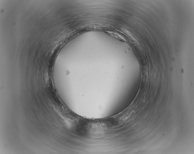 X0000077330500200611171811