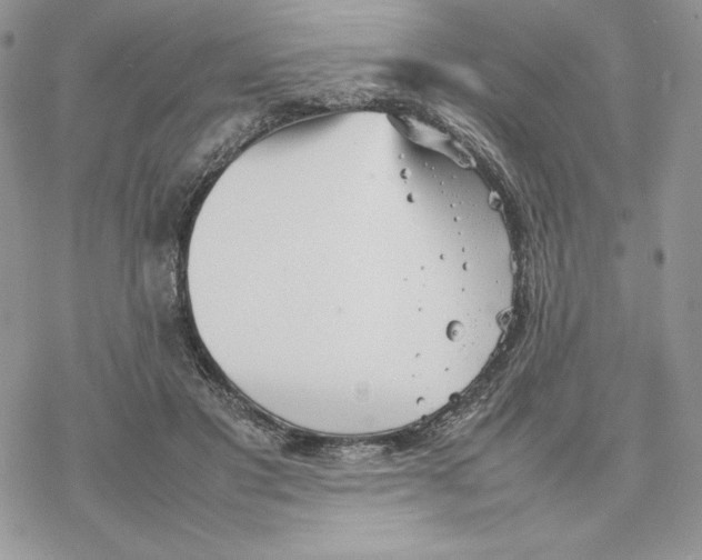 X0000077330501200611171811