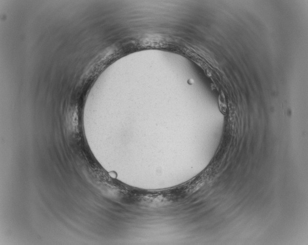 X0000077330502200611171811