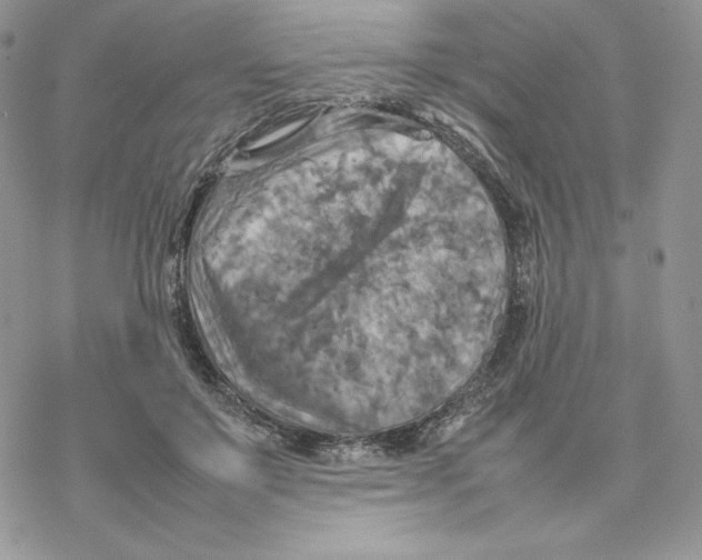 X0000077330503200611171811