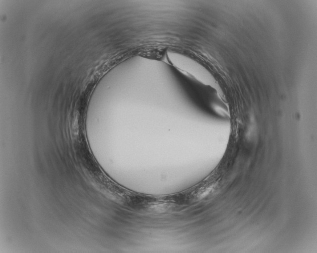 X0000077330504200611171811