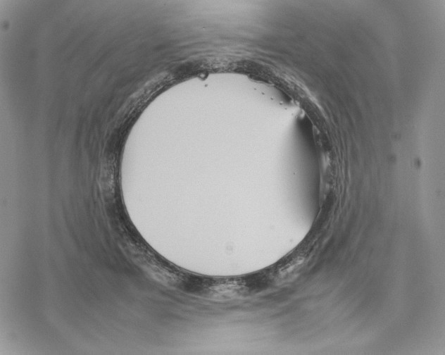 X0000077330505200611171811